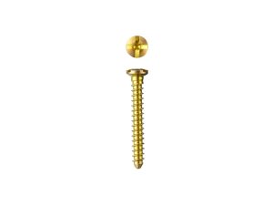 Screw, Ø2.0, Cortical, 14mm, Gold